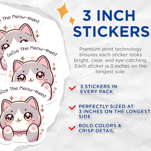 (3 Pack) Cute Cat Stickers - Funny Saying Decals - Laptop Decor - 3 Inches On Longest Side - Easy Peel & Apply - Made in USA - 3MCS1117