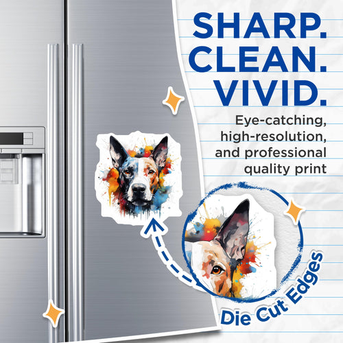 (2 Pack) Australian Cattle Dog Magnets - Watercolor Splatter Design - Colorful Heeler Pet Decor - Dog Lover Fridge Magnets - 5 Inches On Longest Side - Thick Durable Magnet - Made in USA - MAG24213