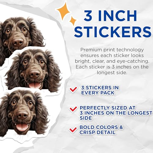 (3 Pack) Cocker Spaniel Decals - Liver Colored Dog Breed - Cute Puppy Face - 3 Inches On Longest Side - Easy Peel & Apply - Made in USA - 3MCS8650