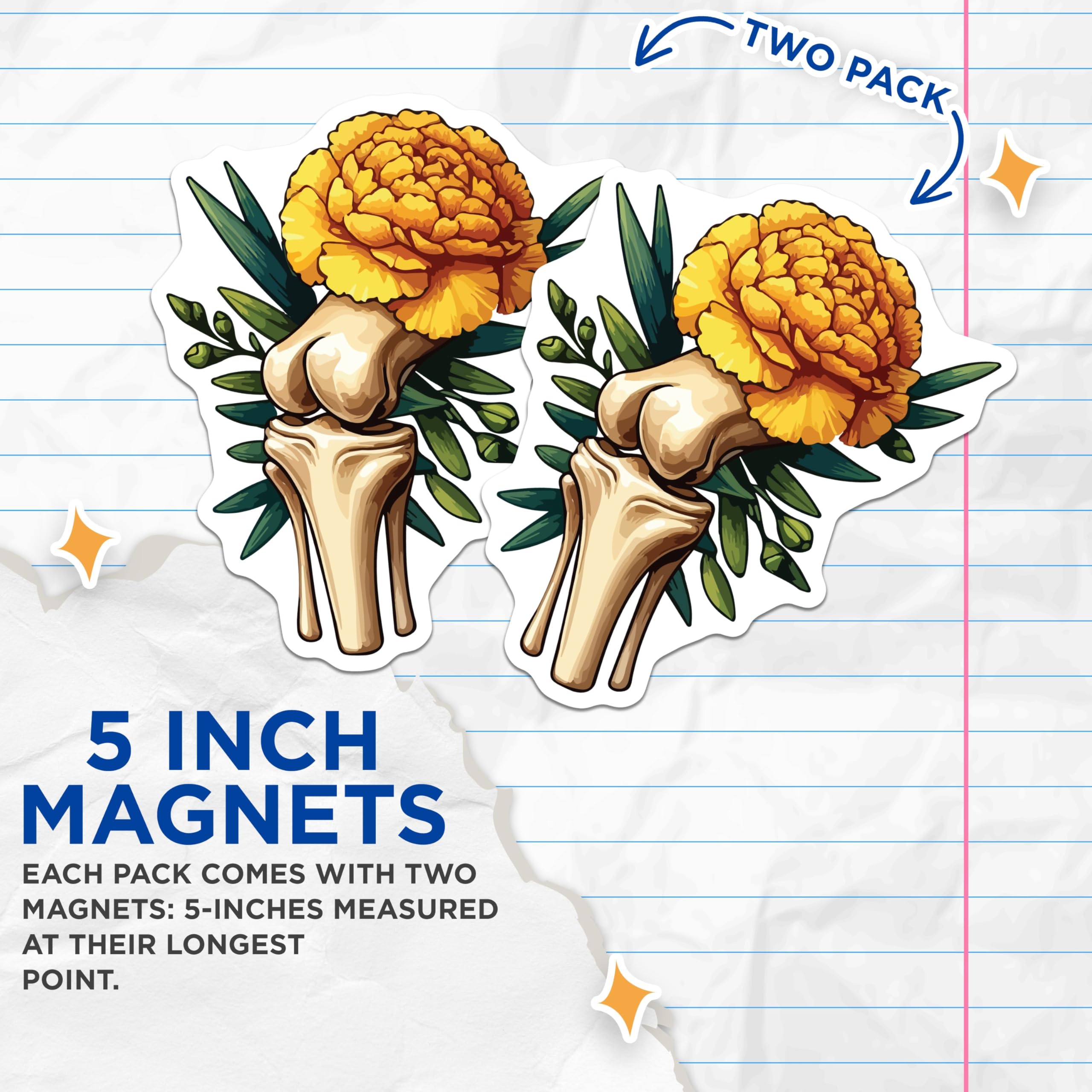 (2 Pack) Marigold Knee Bone Magnets - Anatomical Flower Art - Orthopedic Science Decor - 5 Inches On Longest Side - Thick Durable Magnet - Made in USA - MAG19876
