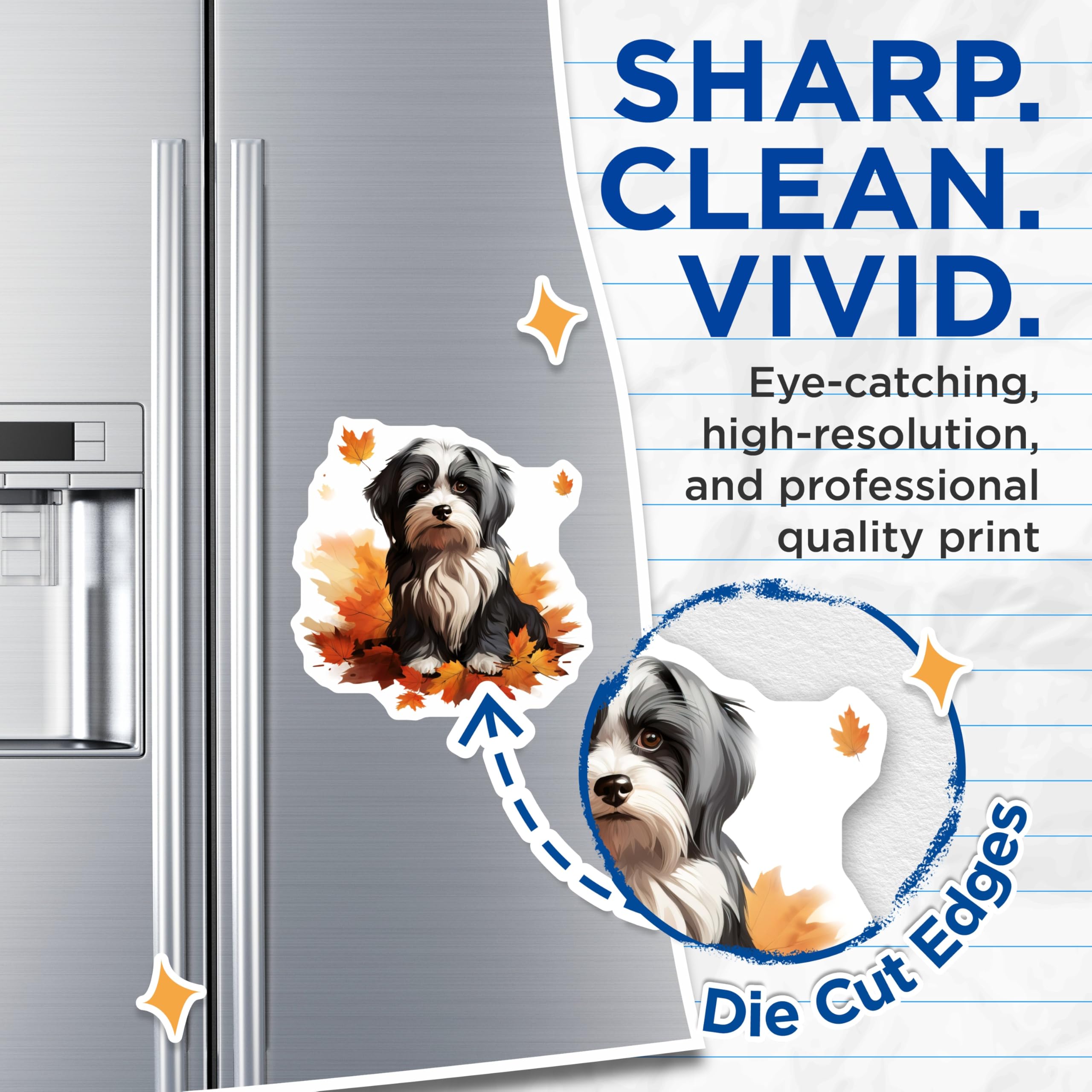 (2 Pack) Havanese Dog Magnets - Cute Fluffy Pet Art - Autumn Leaves Fridge Decor for Dog Lovers - 5 Inches On Longest Side - Thick Durable Magnet - Made in USA - MAG30873