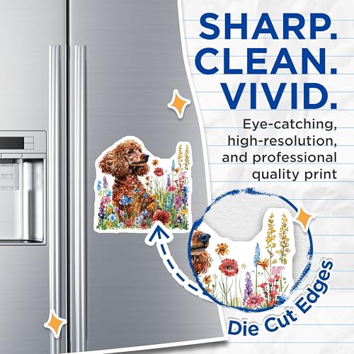 (2 Pack) Dog Poodle Magnets - Floral Dog Art - Cute Animal Magnets - 5" On Longest Side - for Cars, Fridges, Toolboxes - Made in USA - MAG7277
