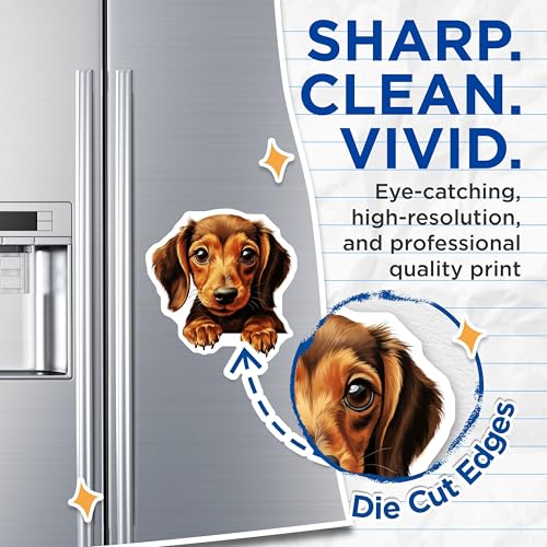 (2 Pack) Dog Lover DÃƒÂ©cor Magnet - 5" On Longest Side - Sticks to Smooth Flat Surfaces - Made in USA - MAG9948
