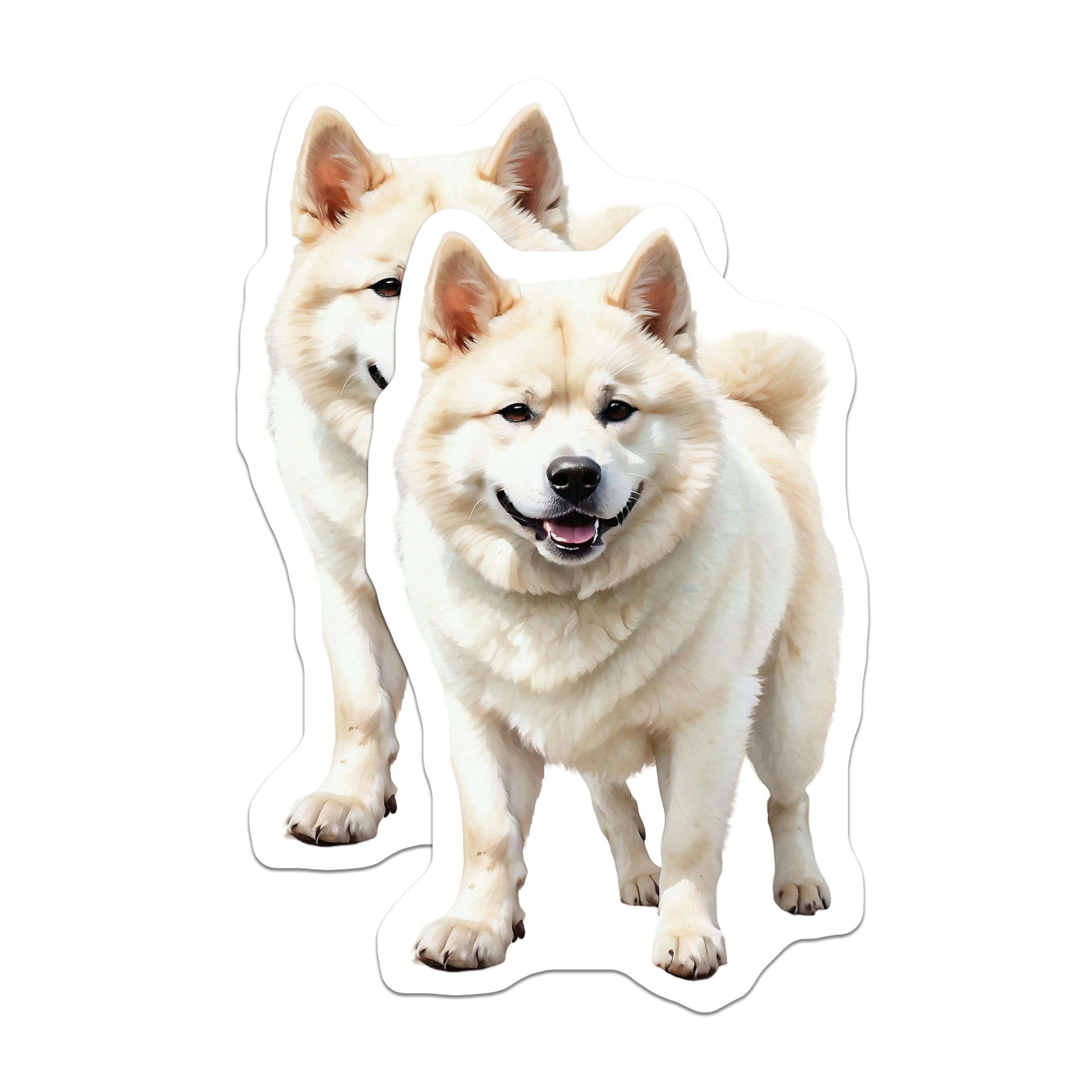 (2 Pack) Akita Dog Magnets - White Akita - Dog Lover Refrigerator Magnets - 5" On Longest Side - Premium Magnet - for Cars, Refrigerators, Toolboxes, Lockers - Made in USA - MAG14902