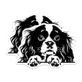 (2 Pack) Cavalier King Charles Spaniel Magnets - Dog Mom Refrigerator Decor - Pet Owner Kitchen Accessory - 5 Inches On Longest Side - Thick Durable Magnet - Made in USA - MAG37823