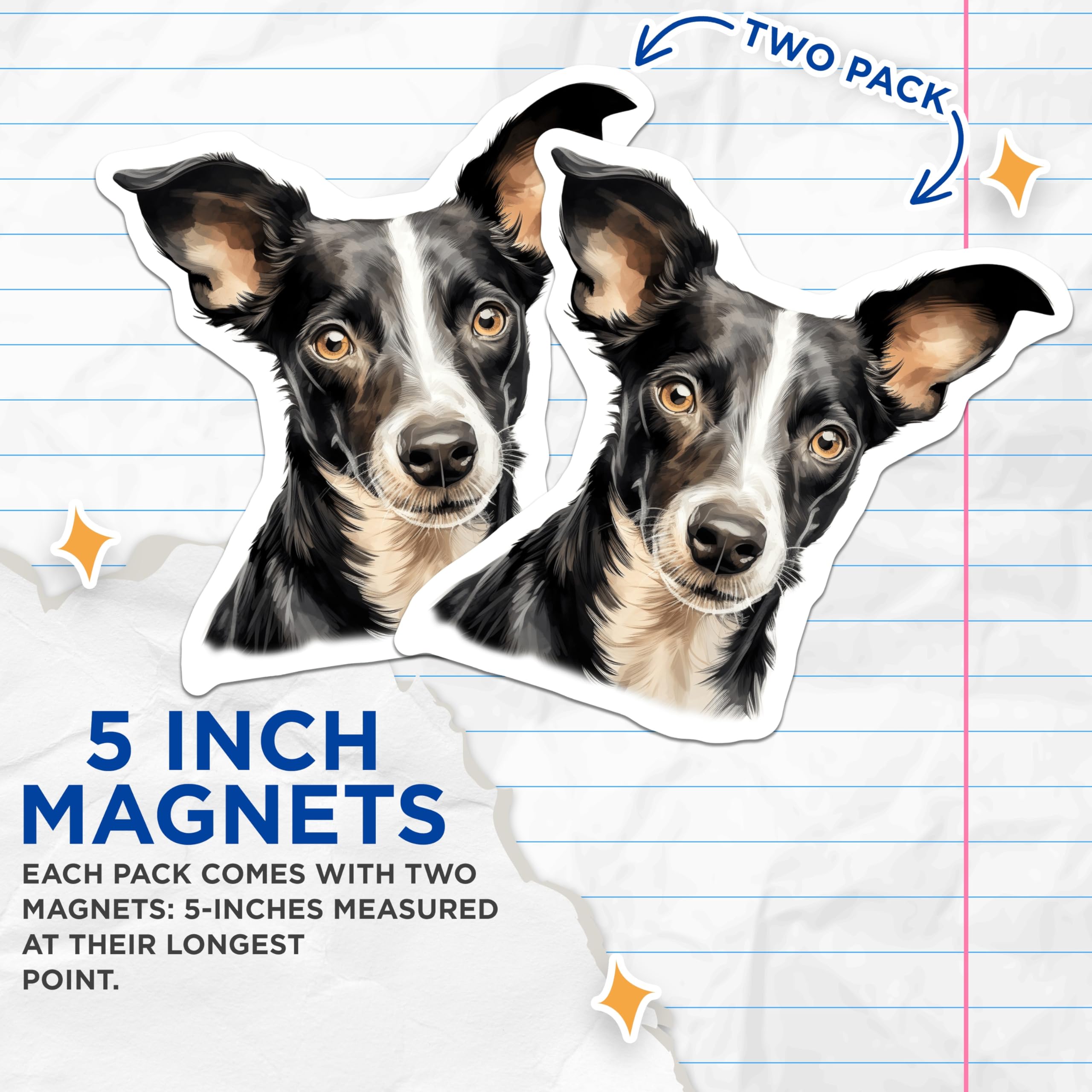 (2 Pack) Border Collie Dog Magnets - Pet Lover Refrigerator Decor - Animal Art Kitchen Magnets - 5 Inches On Longest Side - Thick Durable Magnet - Made in USA - MAG28194