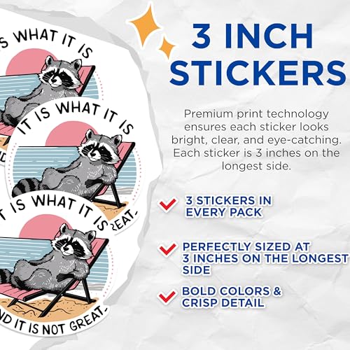 (3 Pack) Raccoon Decals - Beach Bum - Laptop Decal - 3 Inches On Longest Side - Easy Peel & Apply - Made in USA - 3MCS0962