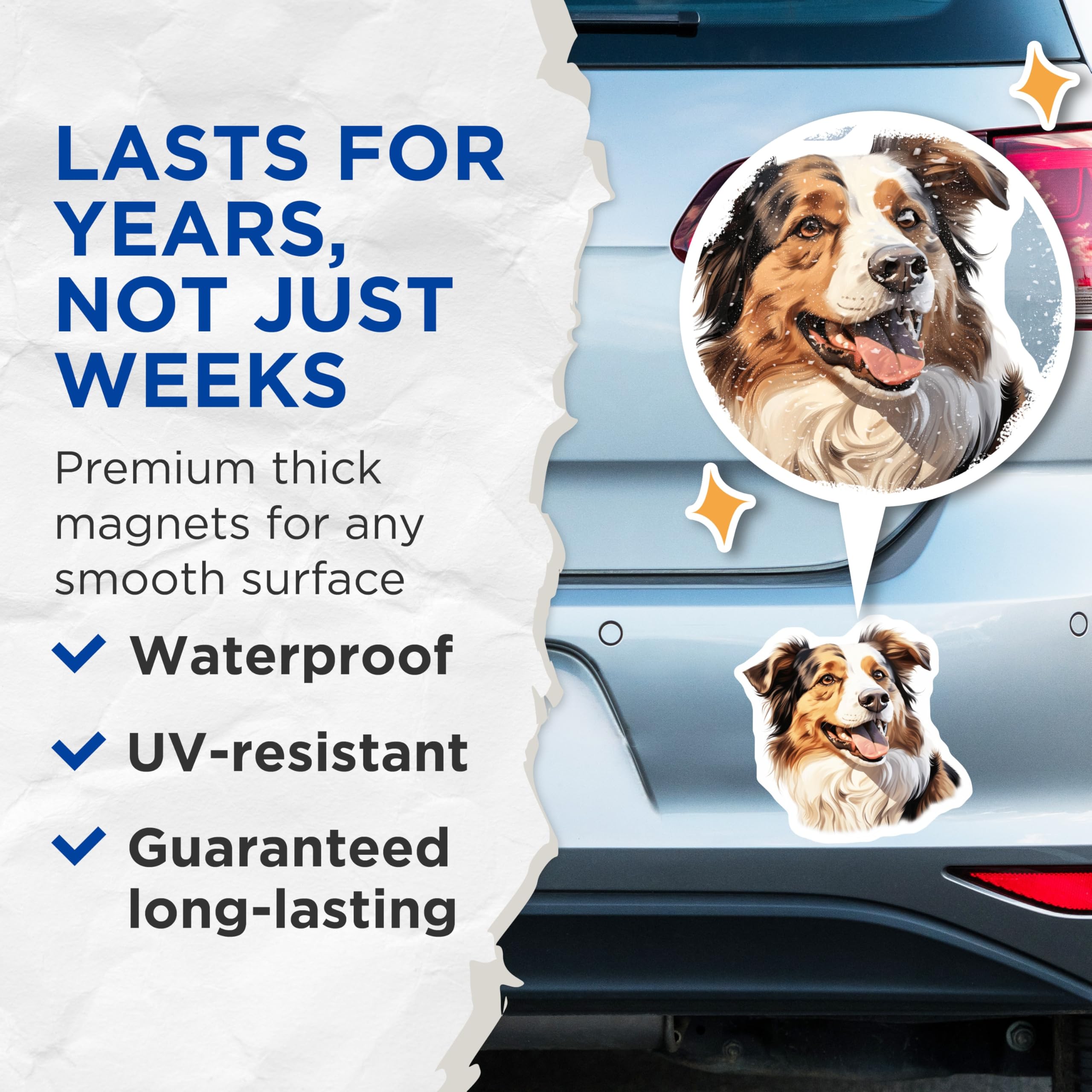 (2 Pack) Australian Shepherd Magnets - Aussie Dog Fridge Decor - Pet Lover Locker Art - Animal Home Accessory - 5 Inches On Longest Side - Thick Durable Magnet - Made in USA - MAG26819