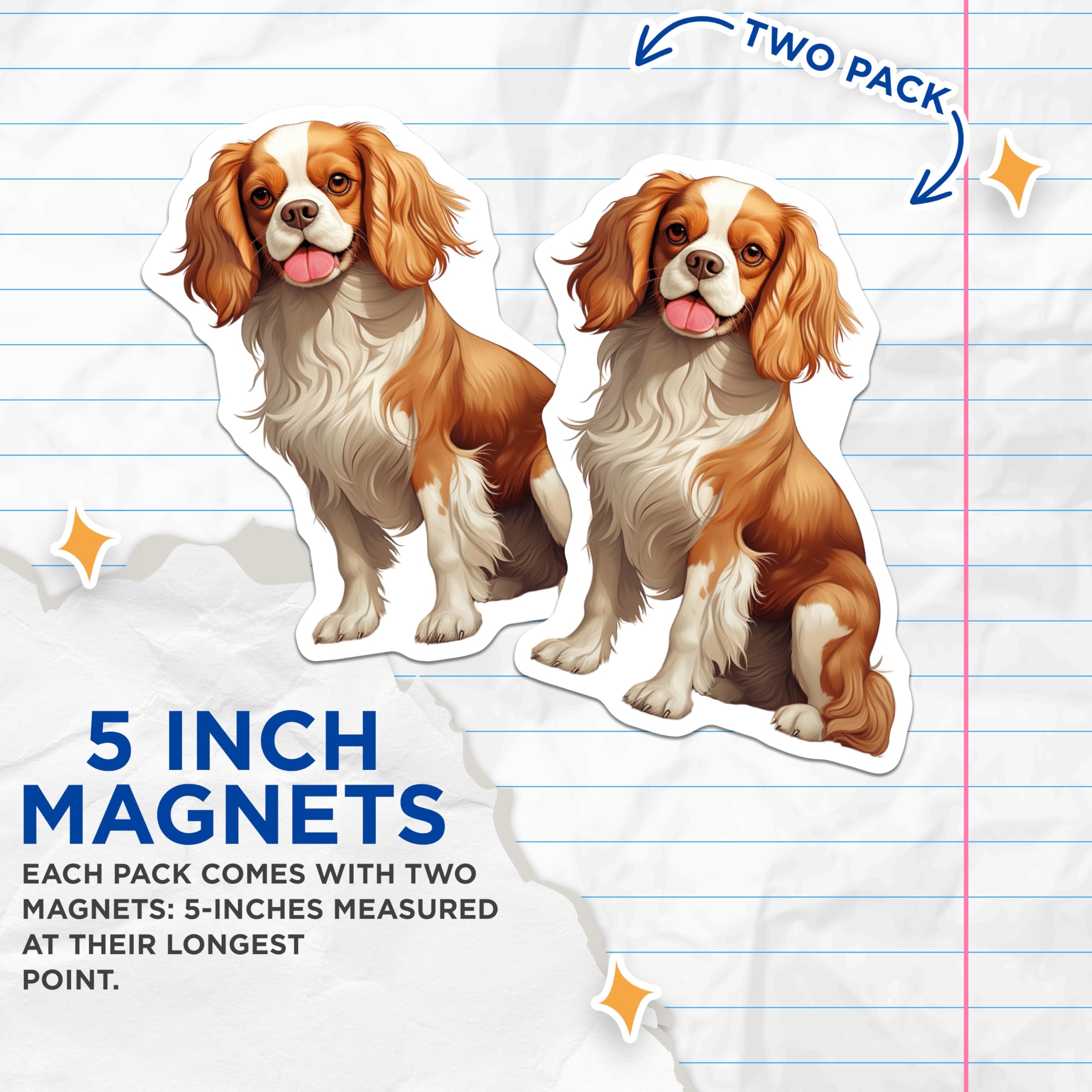 (2 Pack) Cavalier King Charles Spaniel Magnets - Cute Blenheim Dog Artwork - Animal Lover Kitchen Decor - 5 Inches On Longest Side - Thick Durable Magnet - Made in USA - MAG30611