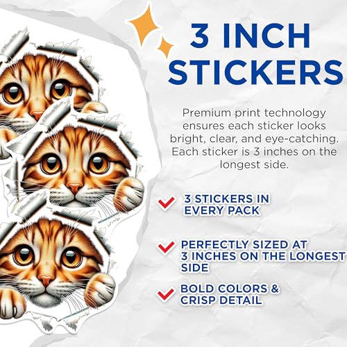 (3 Pack) Ginger Cat Decals - Peeking Kitten Sticker - Laptop Decal - 3 Inches On Longest Side - Easy Peel & Apply - Made in USA - 3MCS0933