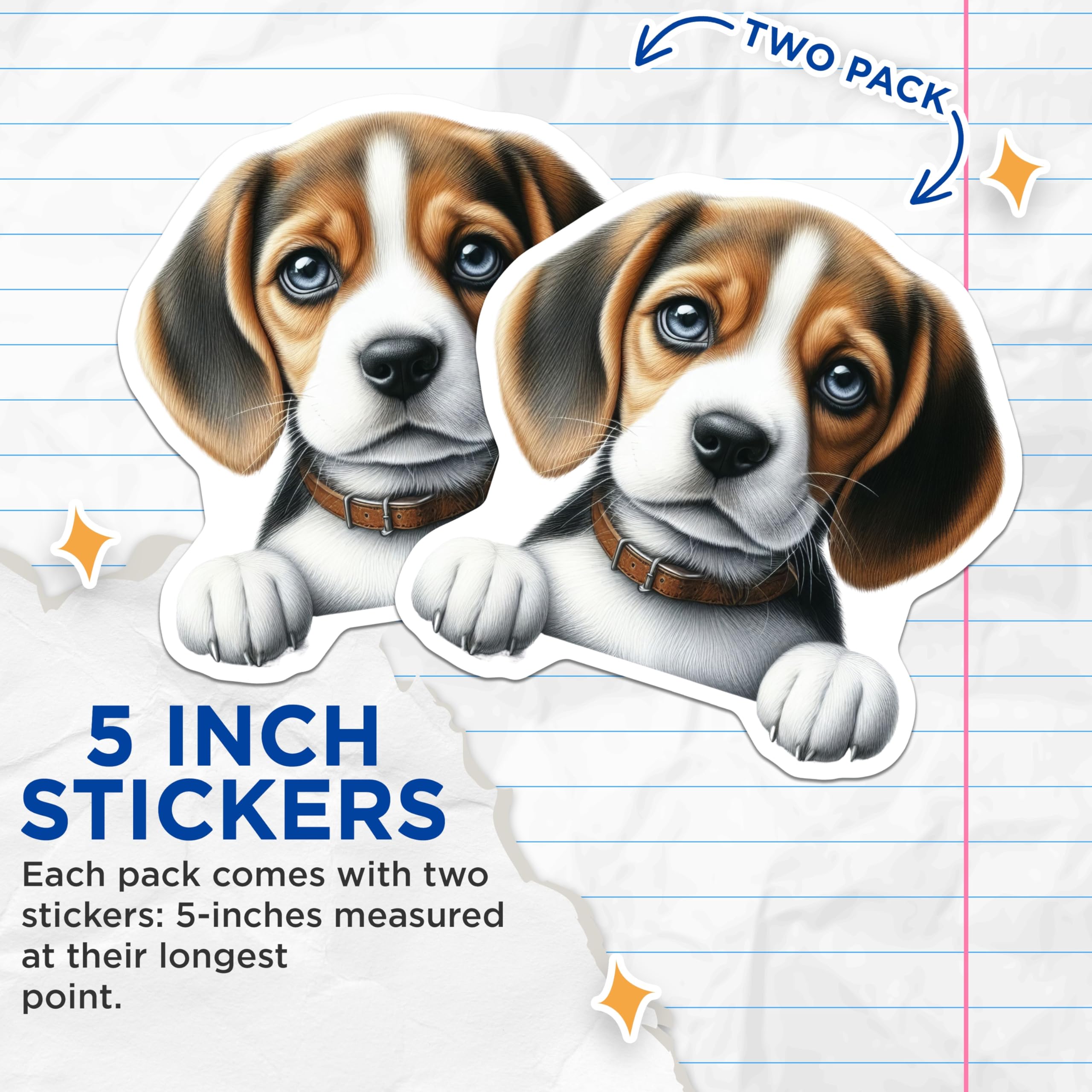 (2 Pack) Beagle Stickers - Cute Puppy Dog - Animal Stickers - 5" On Longest Side - Sticks to Smooth Flat Surfaces - Made in USA - BMCS14546