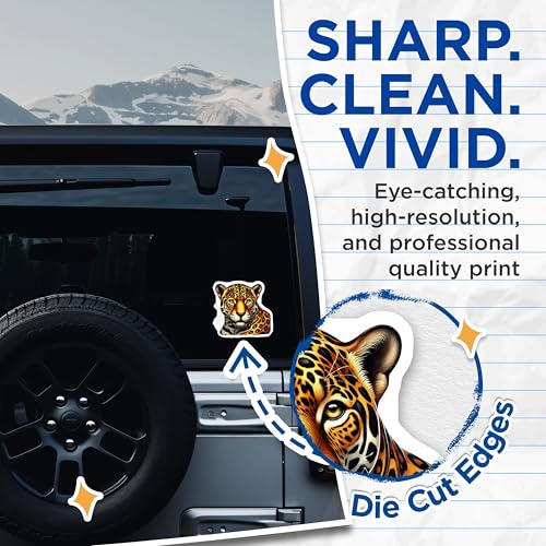 (2 Pack) Leopard Face Stickers - Animal Art Stickers - Wild Cat Decals for Wall or Laptop Decor - 5" On Longest Side - Sticks to Smooth Flat Surfaces - Made in USA - BMCS4518