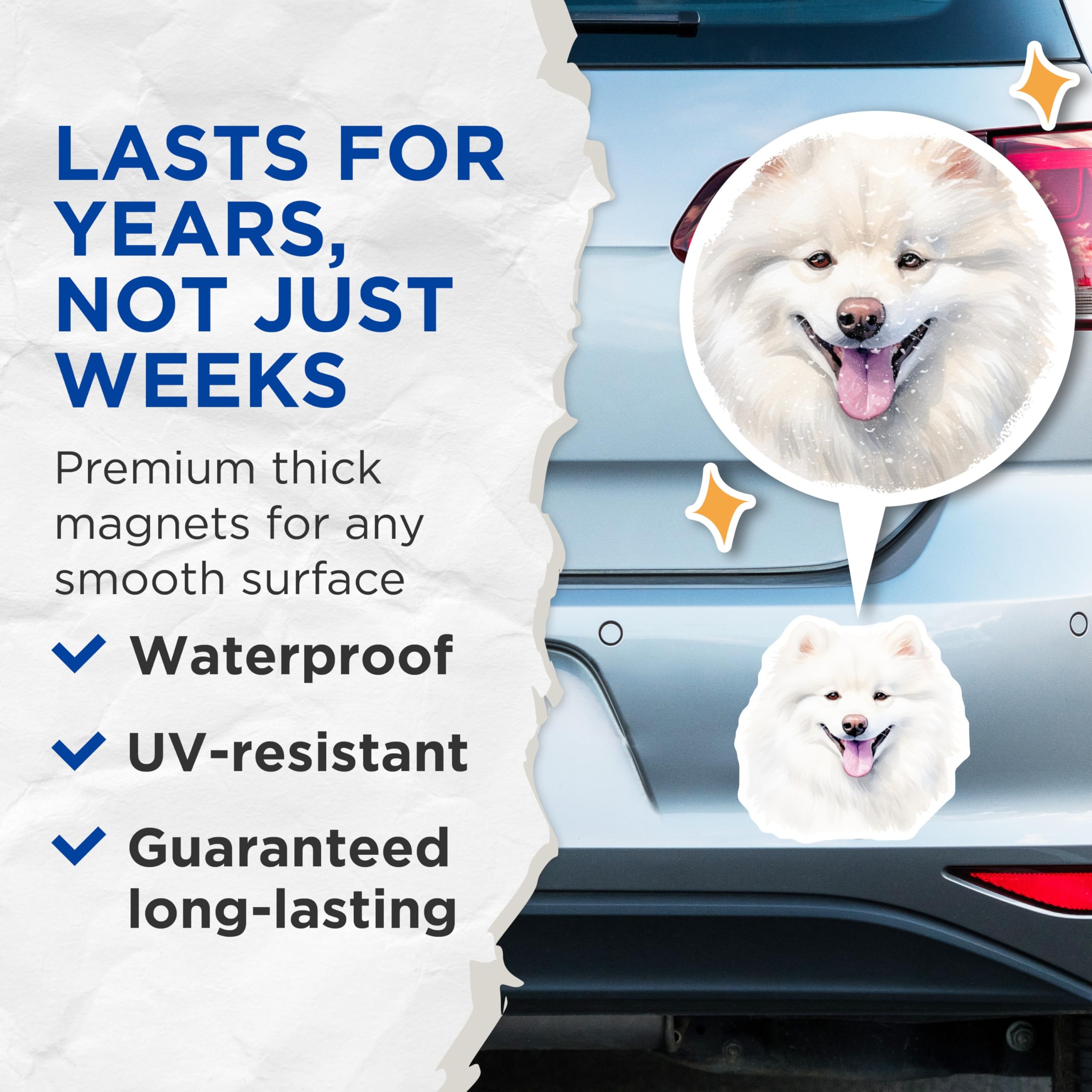 (2 Pack) Samoyed Dog Magnets - White Fluffy Dog Art - Pet Lover Refrigerator Decor - Happy Dog Parent - 5 Inches On Longest Side - Thick Durable Magnet - Made in USA - MAG30735