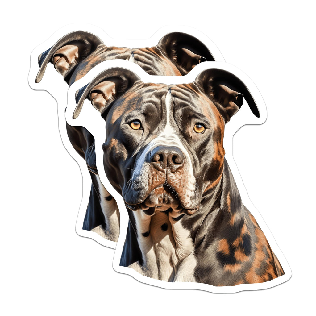 (2 Pack) Brindle Dog Magnets - American Bulldog Decor - Dog Mom Dad Fridge Art - 5 Inches On Longest Side - Thick Durable Magnet - Made in USA - MAG28644