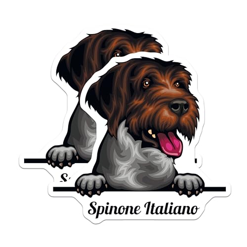 (2 Pack) Spinone Italiano Dog Magnets - Pet Lover - Refrigerator Magnet - Cute Dog Fridge Magnet - 5" On Longest Side - for Cars, Fridges, Toolboxes - Made in USA - MAG4226