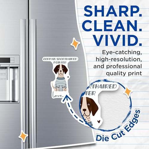 (2 Pack) German Shorthaired Pointer Magnets - Cute Dog Magnets - Animal Fridge Magnets - Puppy Pet Magnets - 5" On Longest Side - for Cars, Fridges, Toolboxes - Made in USA - MAG7301