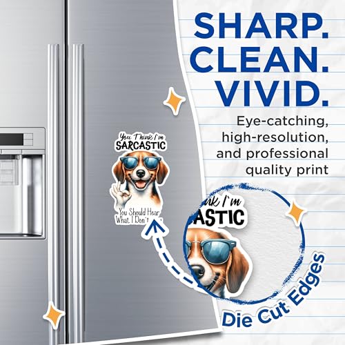(2 Pack) Funny Dog Sarcastic Magnets - Cute Dog Humor Magnets - Dog Lover Fridge Decor Magnets- 5" On Longest Side - for Fridges, Toolboxes, Cars - Made in USA - MAG2932