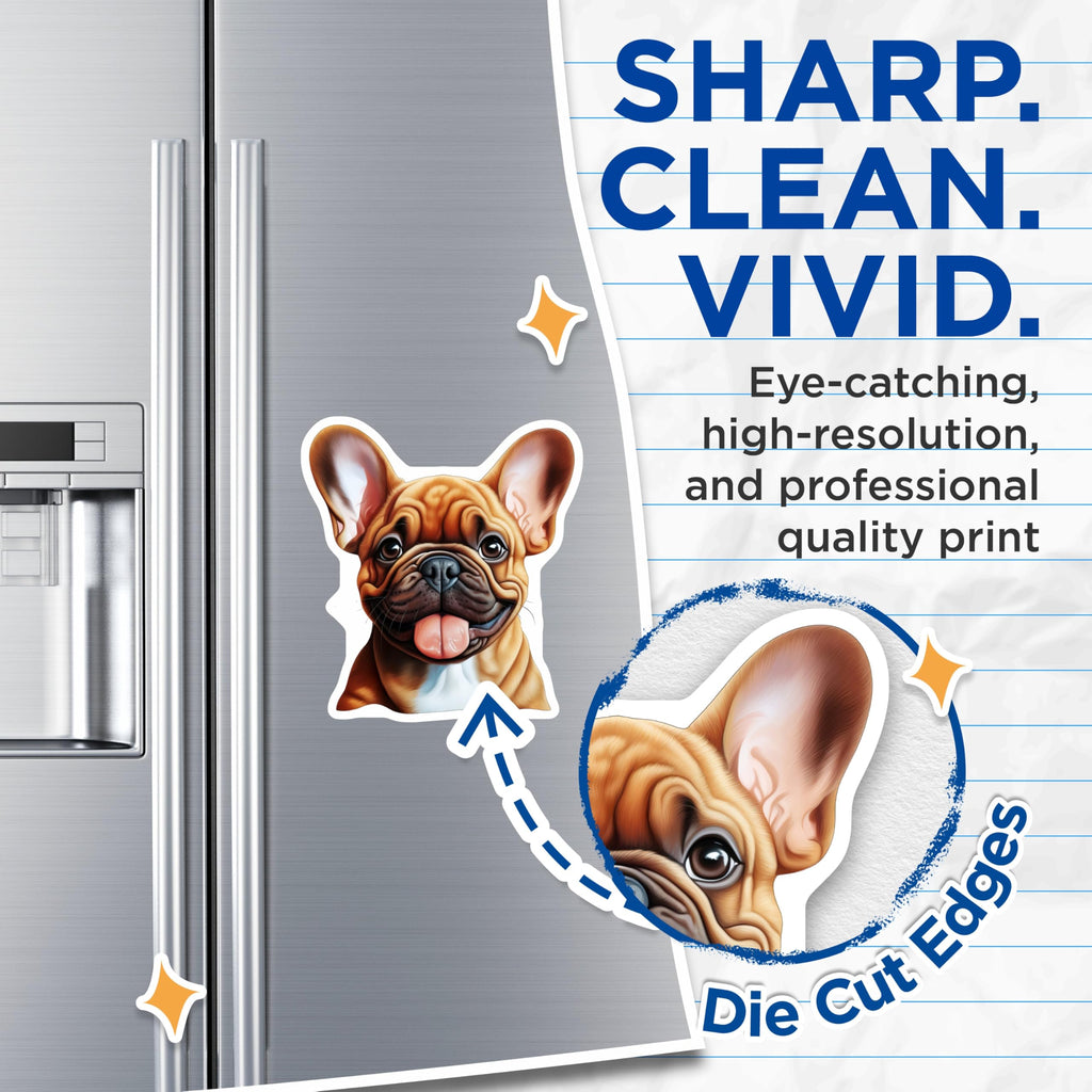 (2 Pack) Smiling French Bulldog Magnets - Cute Frenchie Puppy Art - Pet Dog Lover Refrigerator Locker Decor - 5 Inches On Longest Side - Thick Durable Magnet - Made in USA - MAG24309