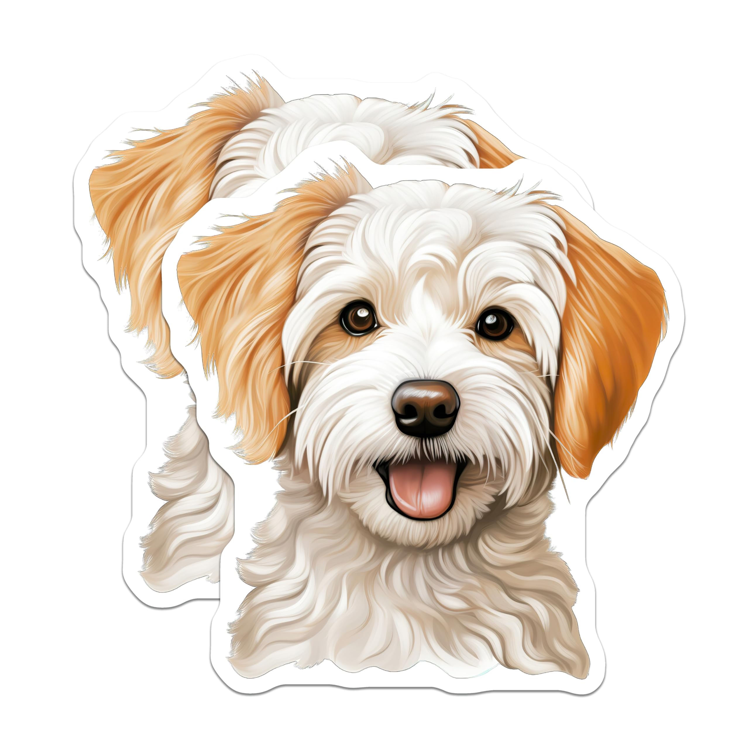 (2 Pack) Adorable Maltipoo Dog Magnets - Happy Fluffy Puppy Head Art - Cute Canine Pet Refrigerator Display Accessory - 5 Inches On Longest Side - Thick Durable Magnet - Made in USA - MAG24266