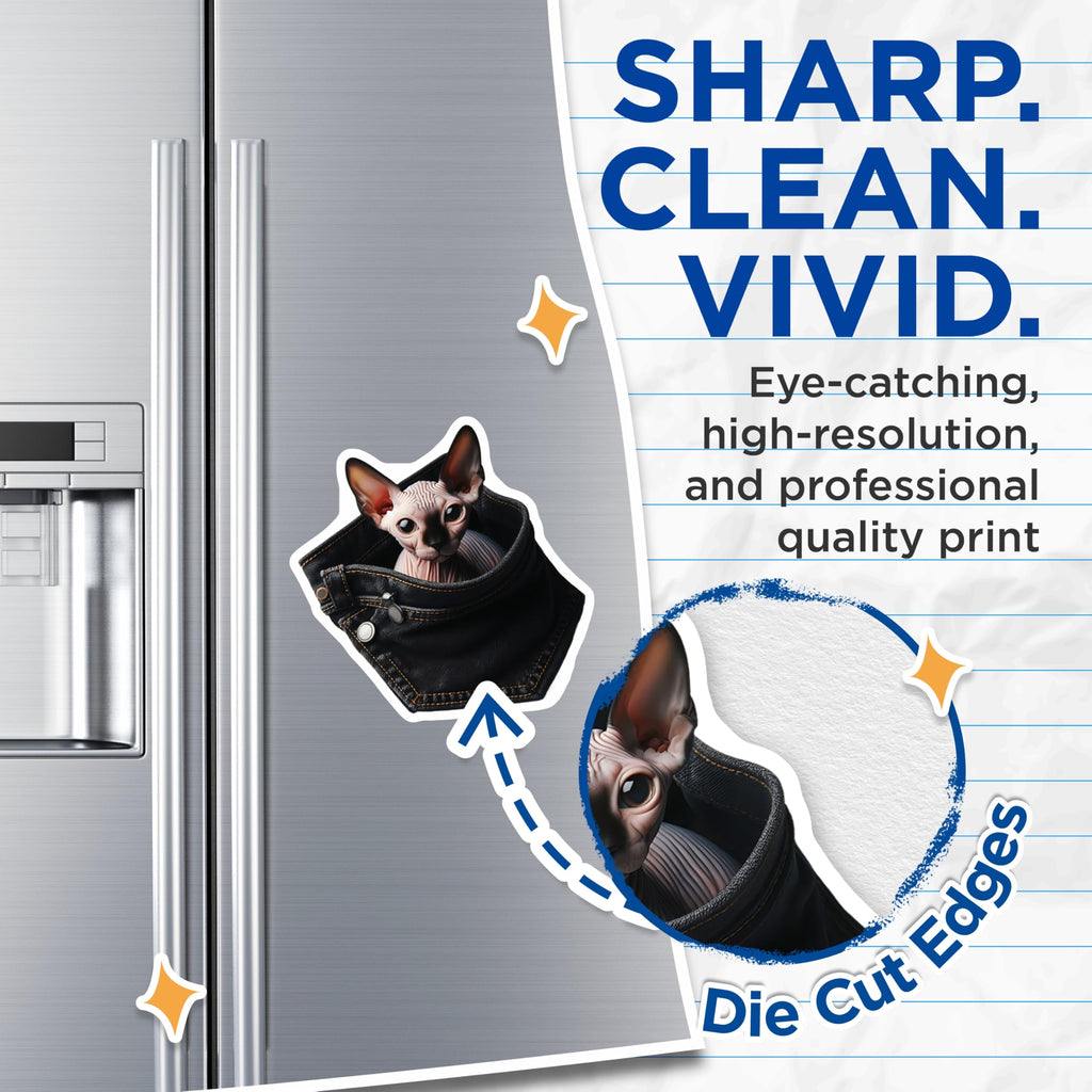 (2 Pack) Sphynx Cat Magnets - Pocket Cat Art - Unique Fridge Magnets - 5" On Longest Side - Premium Magnet - for Cars, Refrigerators, Toolboxes, Lockers - Made in USA - MAG16068