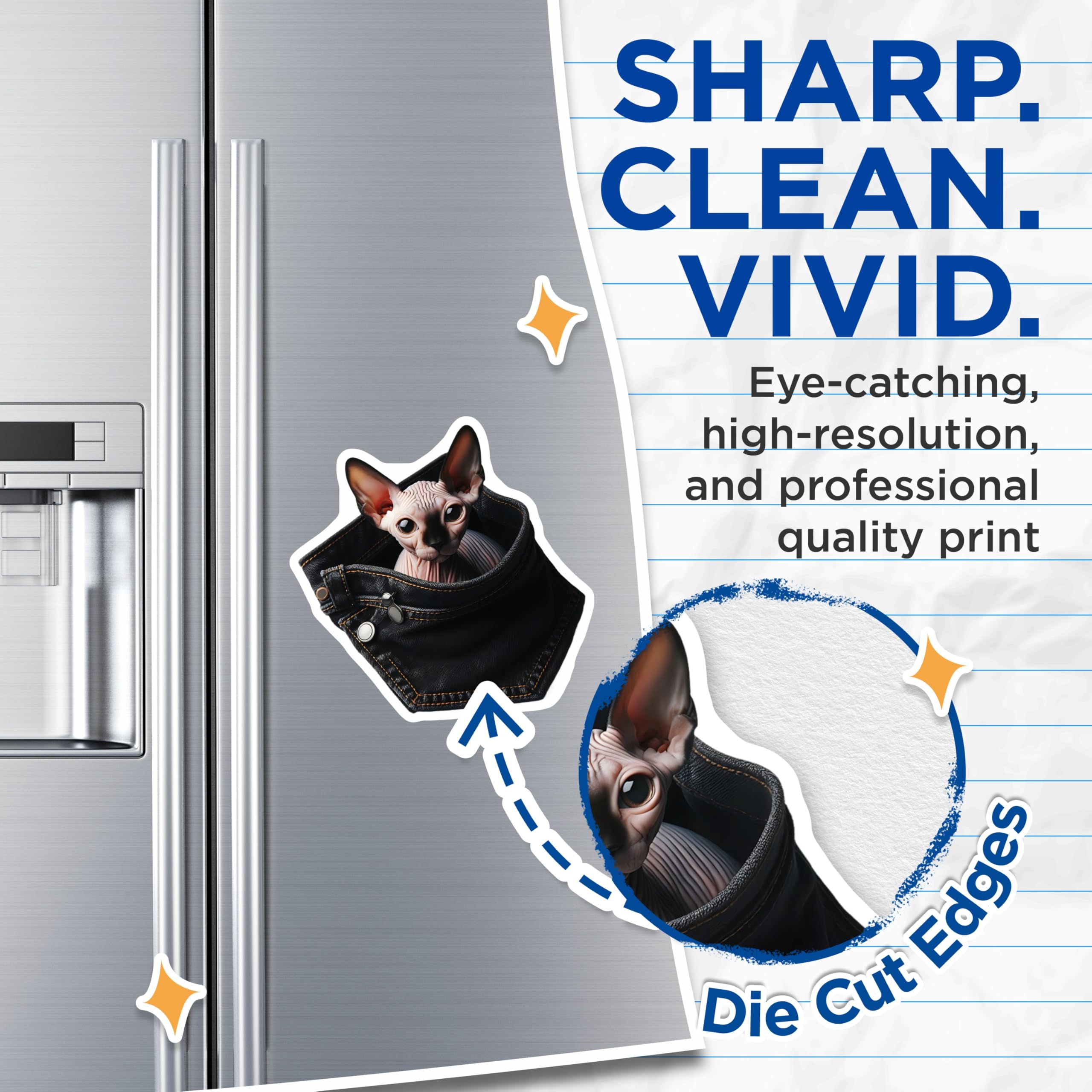 (2 Pack) Sphynx Cat Magnets - Pocket Cat Art - Unique Fridge Magnets - 5" On Longest Side - Premium Magnet - for Cars, Refrigerators, Toolboxes, Lockers - Made in USA - MAG16068