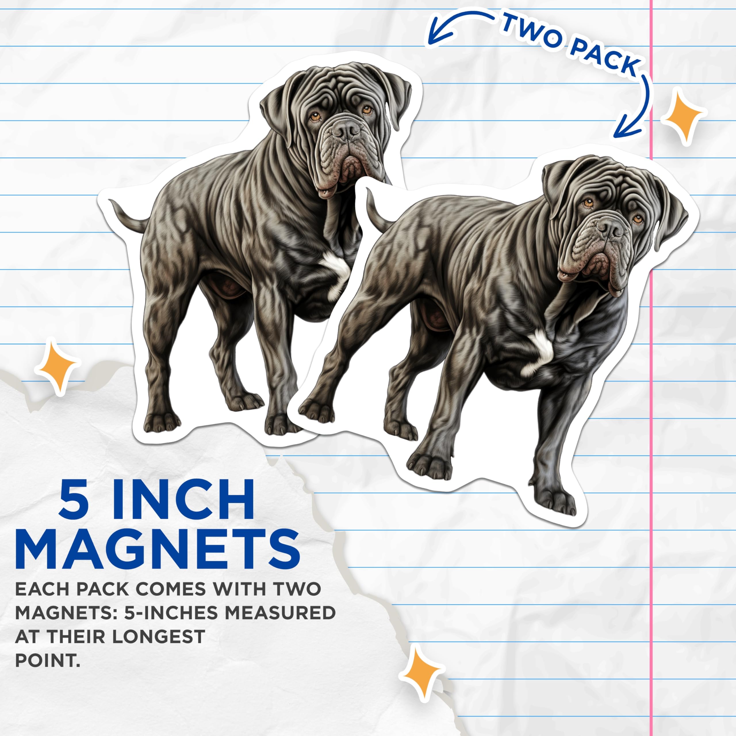 (2 Pack) Neapolitan Mastiff Magnets - Wrinkled Dog Art - Pet Parent Refrigerator Decor - 5 Inches On Longest Side - Thick Durable Magnet - Made in USA - MAG26707