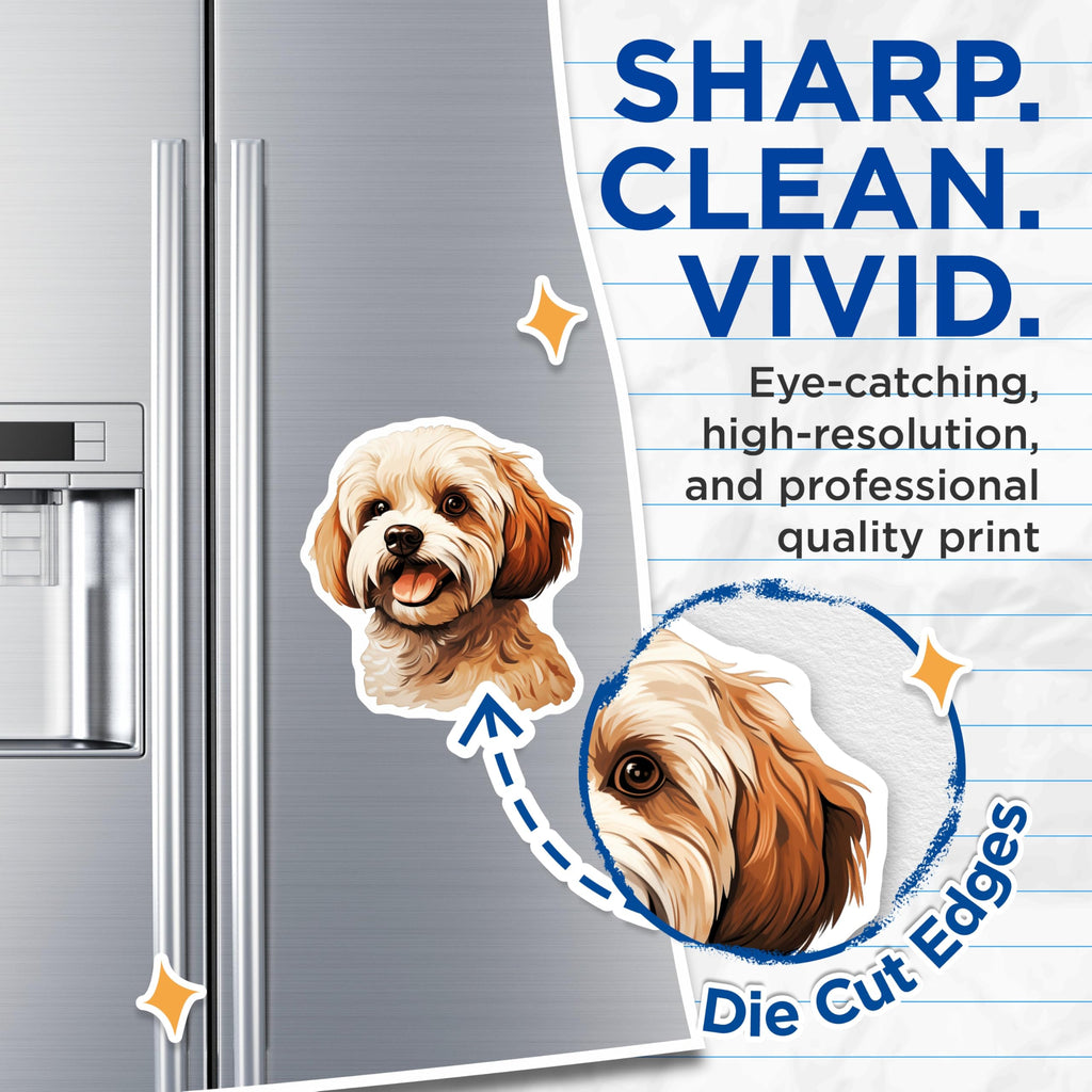 (2 Pack) Havanese Dog Magnets - Cute Fluffy Dog Decor - Pet Owner Kitchen Accessories - Puppy Lover Art - 5 Inches On Longest Side - Thick Durable Magnet - Made in USA - MAG29915