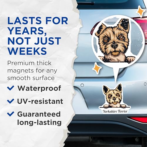 (2 Pack) Yorkshire Terrier Magnets - Cute Dog Magnets - Pet Lover ation - Animal Magnets - Dog Breed Collectibles - 5" On Longest Side - for Cars, Fridges, Toolboxes - Made in USA - MAG4229