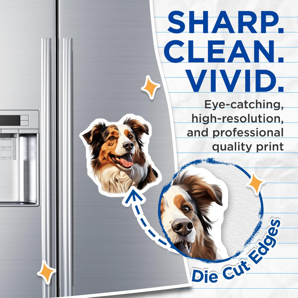 (2 Pack) Australian Shepherd Magnets - Aussie Dog Fridge Decor - Pet Lover Locker Art - Animal Home Accessory - 5 Inches On Longest Side - Thick Durable Magnet - Made in USA - MAG26819