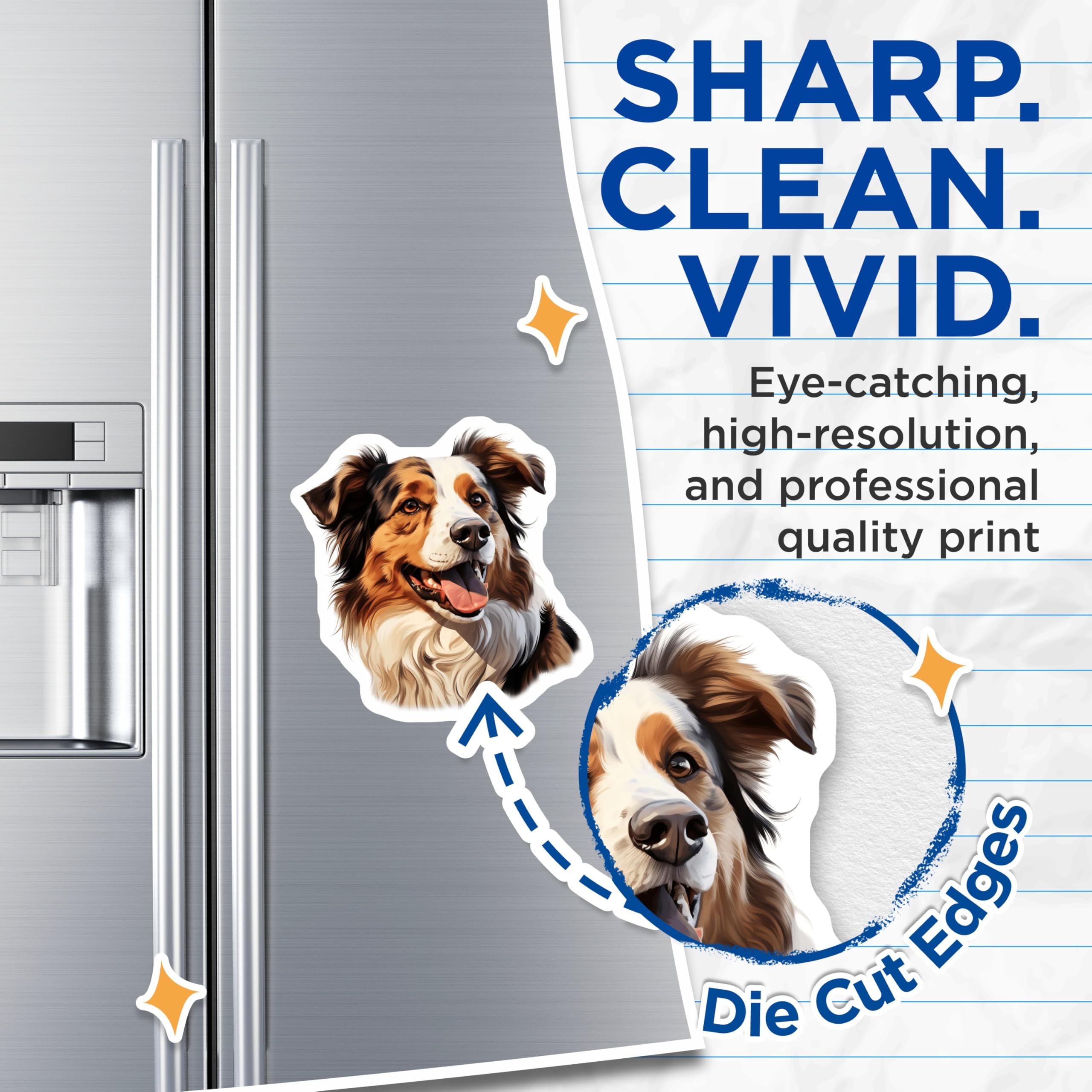 (2 Pack) Australian Shepherd Magnets - Aussie Dog Fridge Decor - Pet Lover Locker Art - Animal Home Accessory - 5 Inches On Longest Side - Thick Durable Magnet - Made in USA - MAG26819