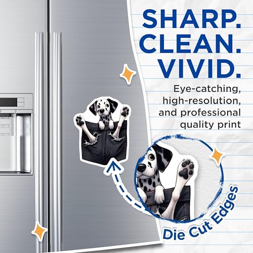(2 Pack) Dalmatian Dog Magnets - Fridge - Animal Lover Gifts - 5" On Longest Side - for Cars, Fridges, Toolboxes - Made in USA - MAG3976