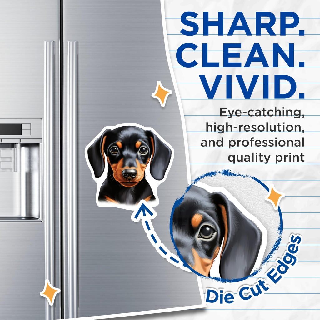 (2 Pack) Dachshund Puppy Magnets - Wiener Dog Decor - Pet Lover Refrigerator Art - 5 Inches On Longest Side - Thick Durable Magnet - Made in USA - MAG27993
