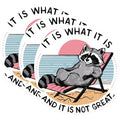 (3 Pack) Raccoon Decals - Beach Bum - Laptop Decal - 3 Inches On Longest Side - Easy Peel & Apply - Made in USA - 3MCS0962
