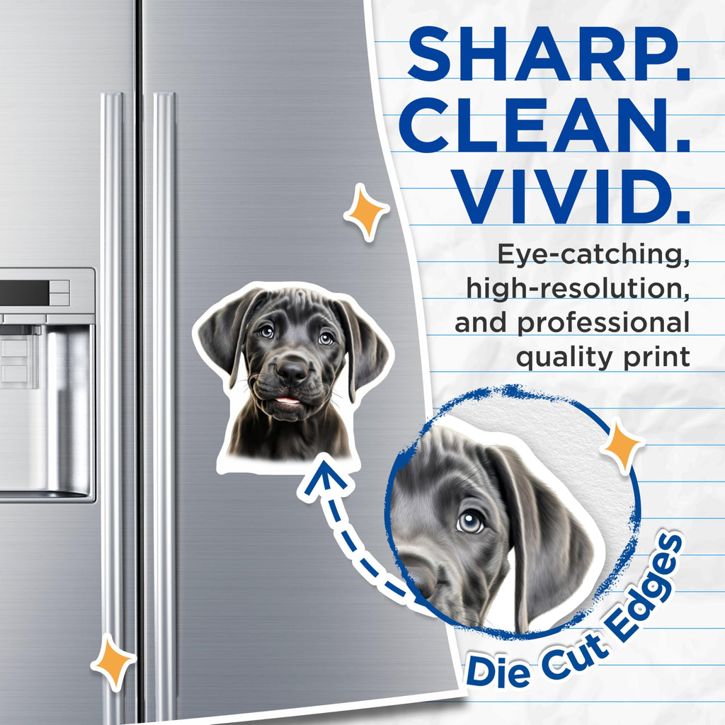 (2 Pack) Cute Puppy Dog Magnets - Pet Lover Refrigerator Decor - Funny Animal Art for Dog Moms - 5 Inches On Longest Side - Thick Durable Magnet - Made in USA - MAG30521