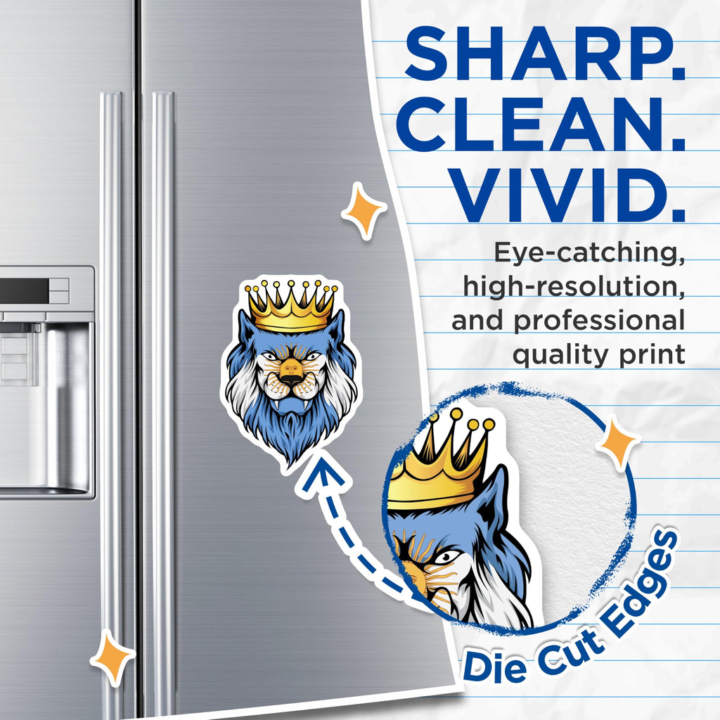 (2 Pack) Argentina Lion Magnets - Crowned Sun Face - Argentine Pride Novelty - 5" On Longest Side - Premium Magnet - for Cars, Refrigerators, Toolboxes, Lockers - Made in USA - MAG18640
