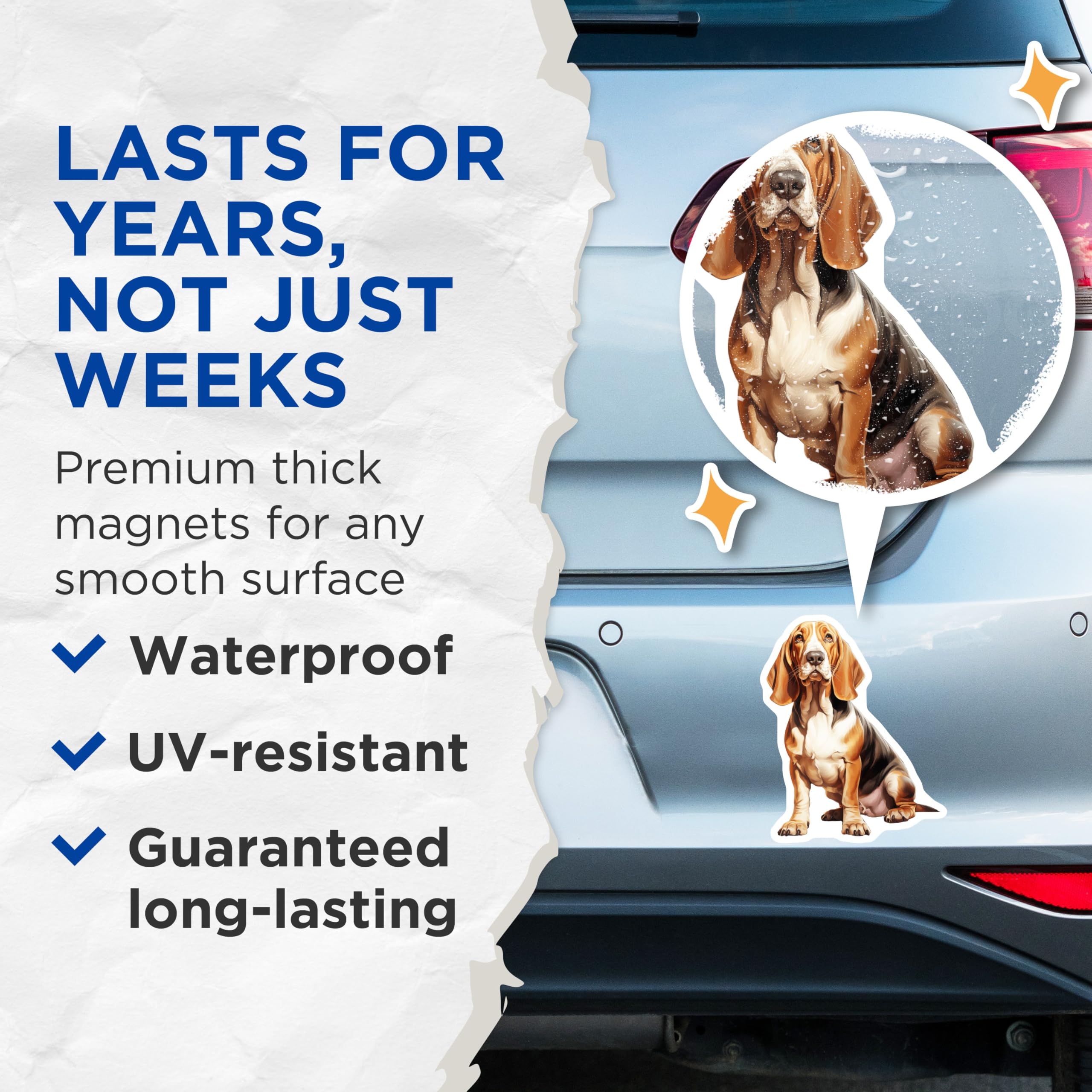 (2 Pack) Basset Hound Magnets - Dog Lover Decor - Pet Parent Accessory - 5 Inches On Longest Side - Thick Durable Magnet - Made in USA - MAG27099