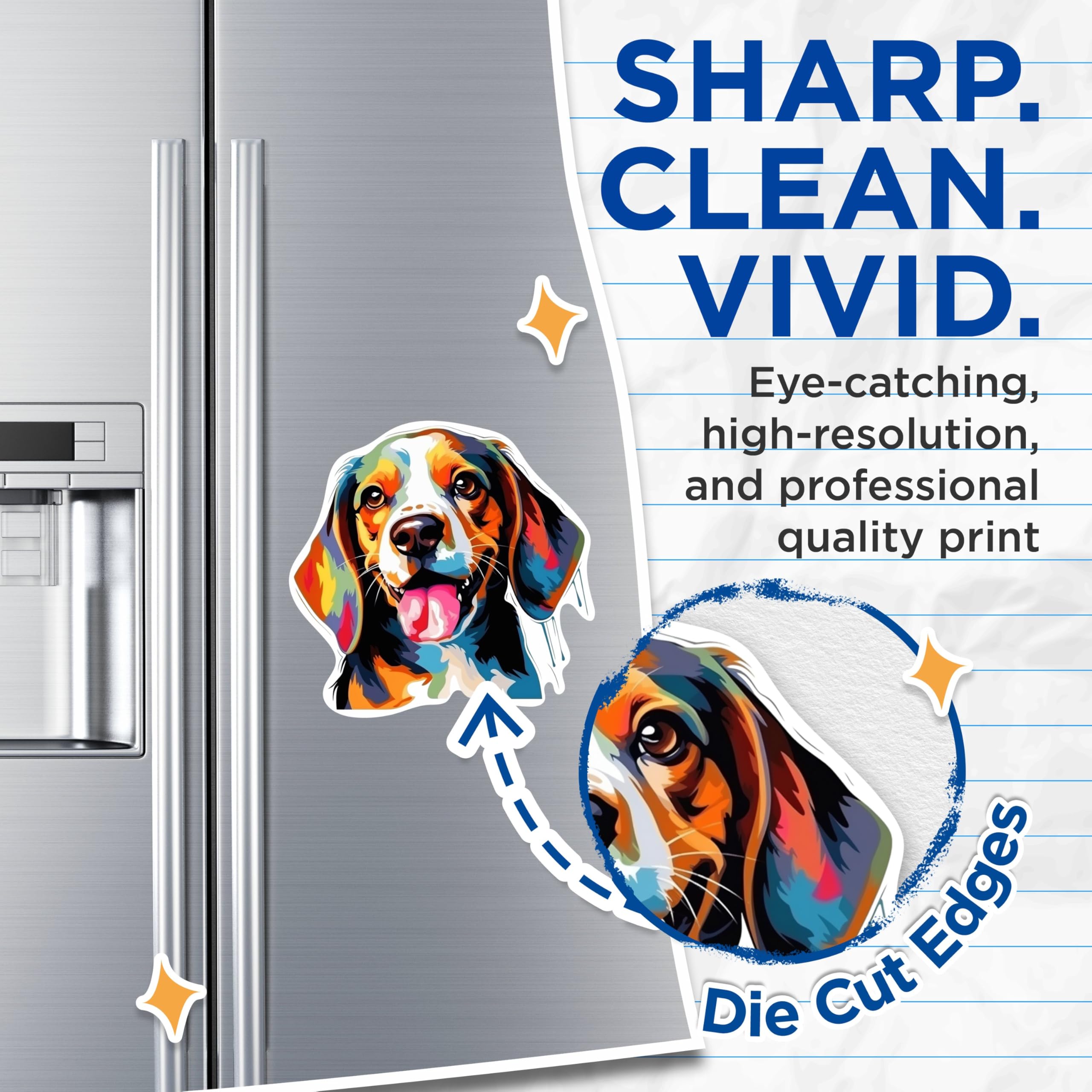 (2 Pack) Beagle Dog Breed Magnets - 5 Inches On Longest Side - Choose from Over 100 Dog Breeds - for Cars, Refrigerators, Toolboxes - Made in USA - MAG1770