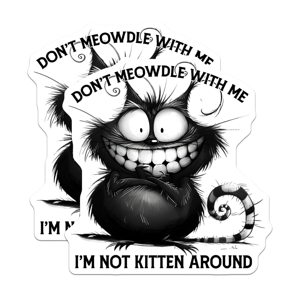 (2 Pack) Funny Cat Magnets - Sarcastic Kitten Sayings - Quirky Refrigerator Magnet - 5" On Longest Side - Premium Magnet - for Cars, Refrigerators, Toolboxes, Lockers - Made in USA - MAG15891