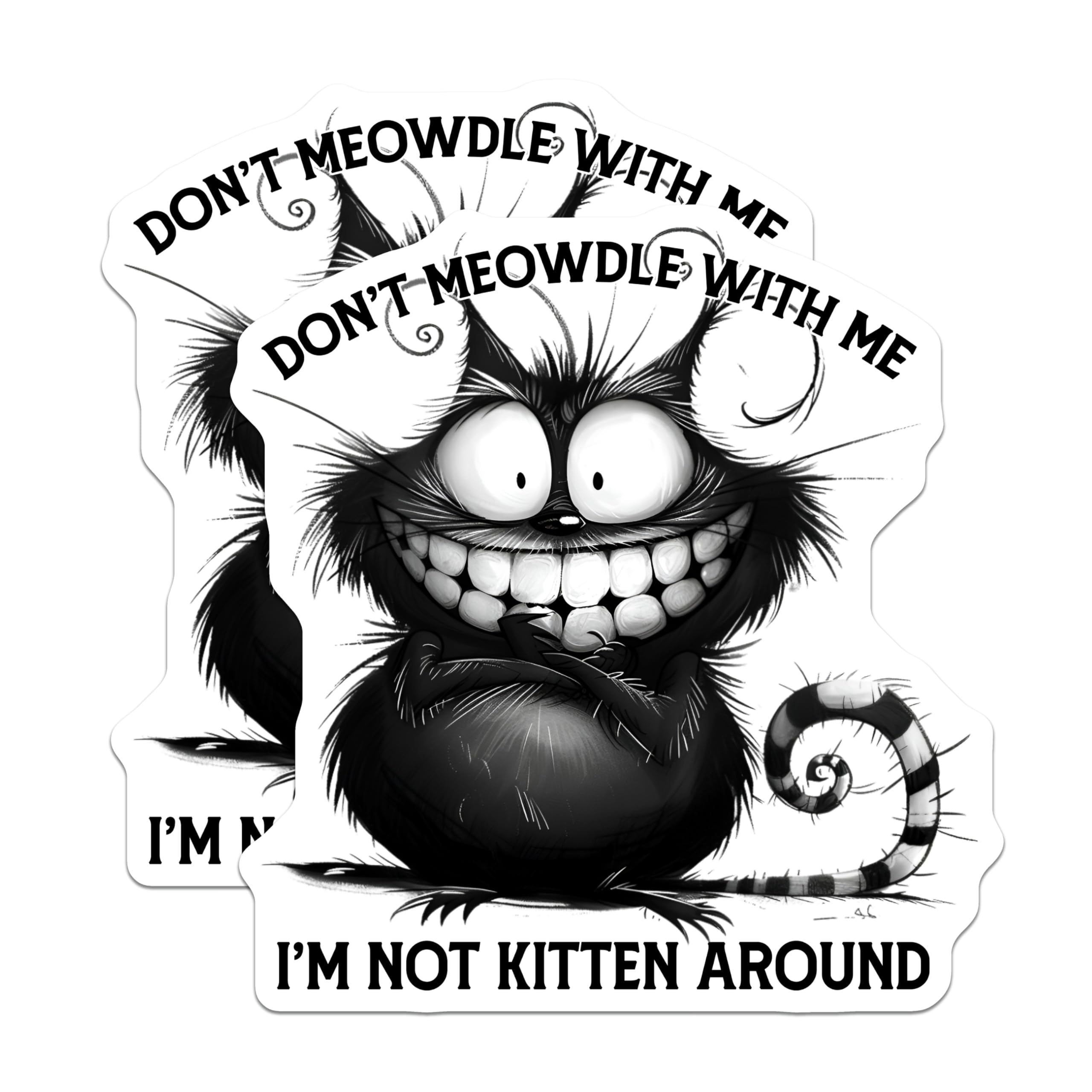 (2 Pack) Funny Cat Magnets - Sarcastic Kitten Sayings - Quirky Refrigerator Magnet - 5" On Longest Side - Premium Magnet - for Cars, Refrigerators, Toolboxes, Lockers - Made in USA - MAG15891