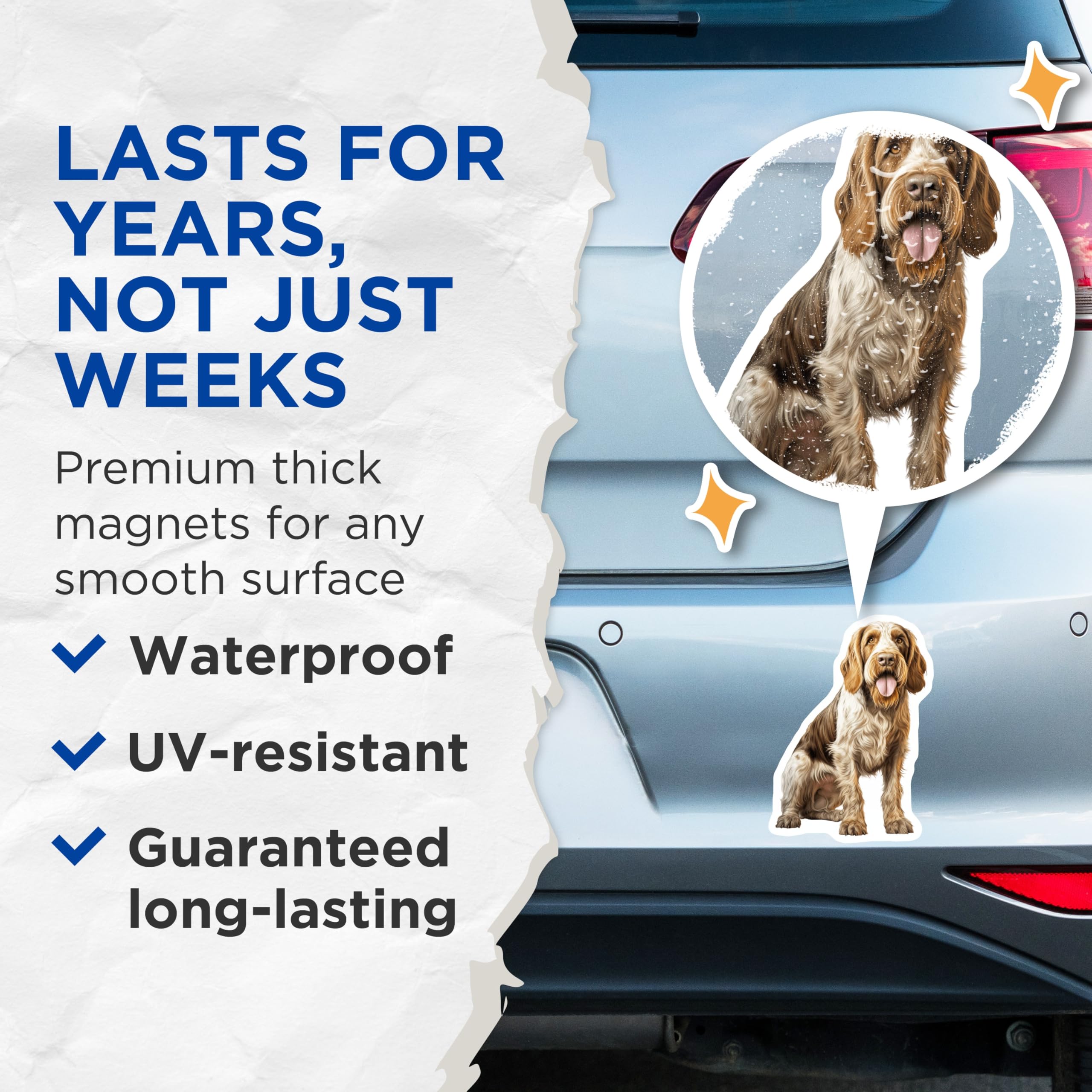 (2 Pack) Spinone Italiano Magnets - Authentic Italian Wirehaired Dog Breed Art - Canine Pet Lover Refrigerator Decor - 5 Inches On Longest Side - Thick Durable Magnet - Made in USA - MAG24708