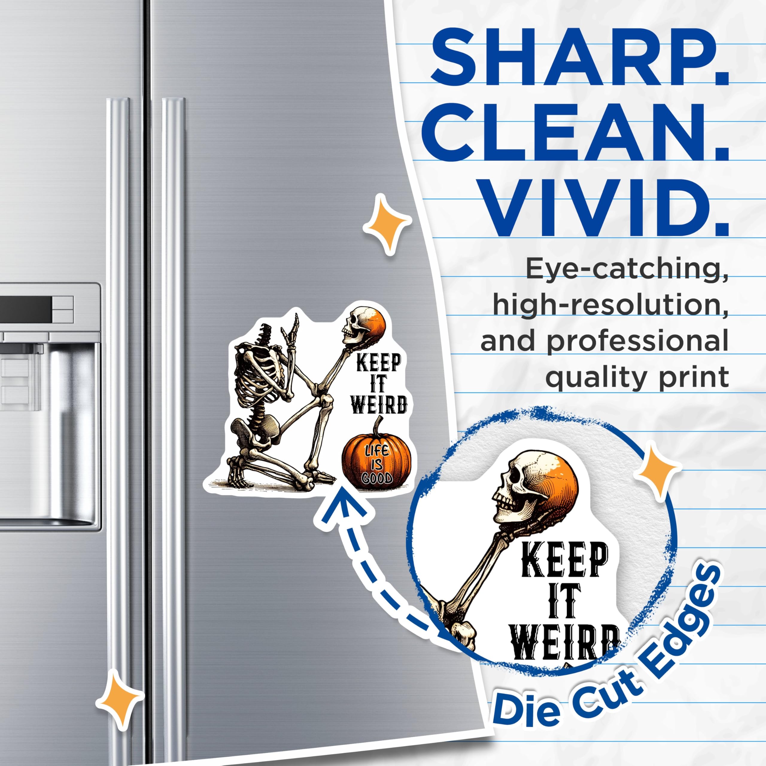 (2 Pack) Skeleton Decor Magnet - Life is Good - 5" On Longest Side - Sticks to Smooth Flat Surfaces - Made in USA - MAG9776