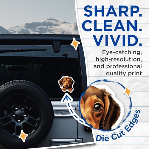 (2 Pack) Cute Dog Stickers - Adorable Pet Decal - Animal Lover Sticker - 5" On Longest Side - Sticks to Smooth Flat Surfaces - Made in USA - BMCS9948