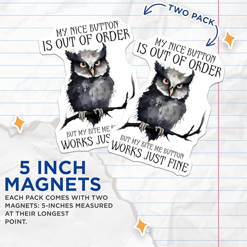 (2 Pack) Funny Owl Magnets - Office Humor - Cute Animal Decor for Desk - 5" On Longest Side - for Cars, Fridges, Toolboxes - Made in USA - MAG7729