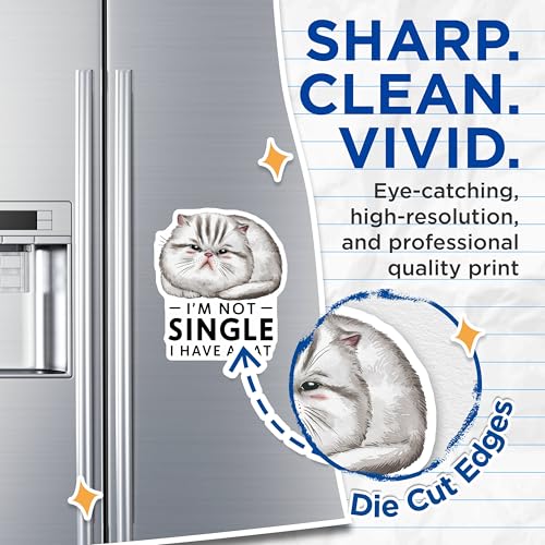 (2 Pack) I'm Not Single I Have A Cat Magnets - Funny Cat Lover Magnets - Cute Cat Statement Magnets - 5" On Longest Side - for Cars, Refrigerators, Toolboxes, Lockers - Made in USA BMCS3461