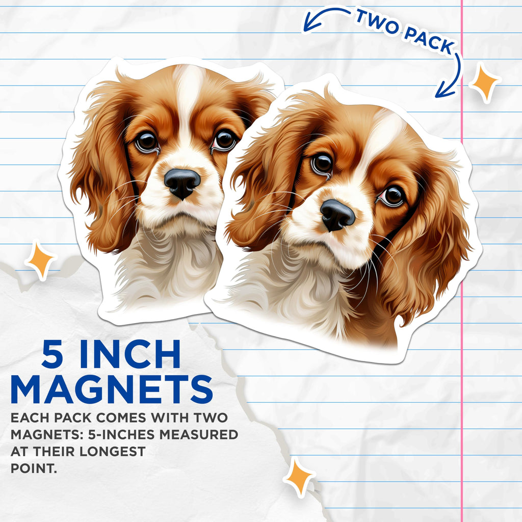 (2 Pack) Cavalier King Charles Spaniel Magnets - Cavalier Puppy Lover - Dog Mom Refrigerator Decor - 5 Inches On Longest Side - Thick Durable Magnet - Made in USA - MAG25496