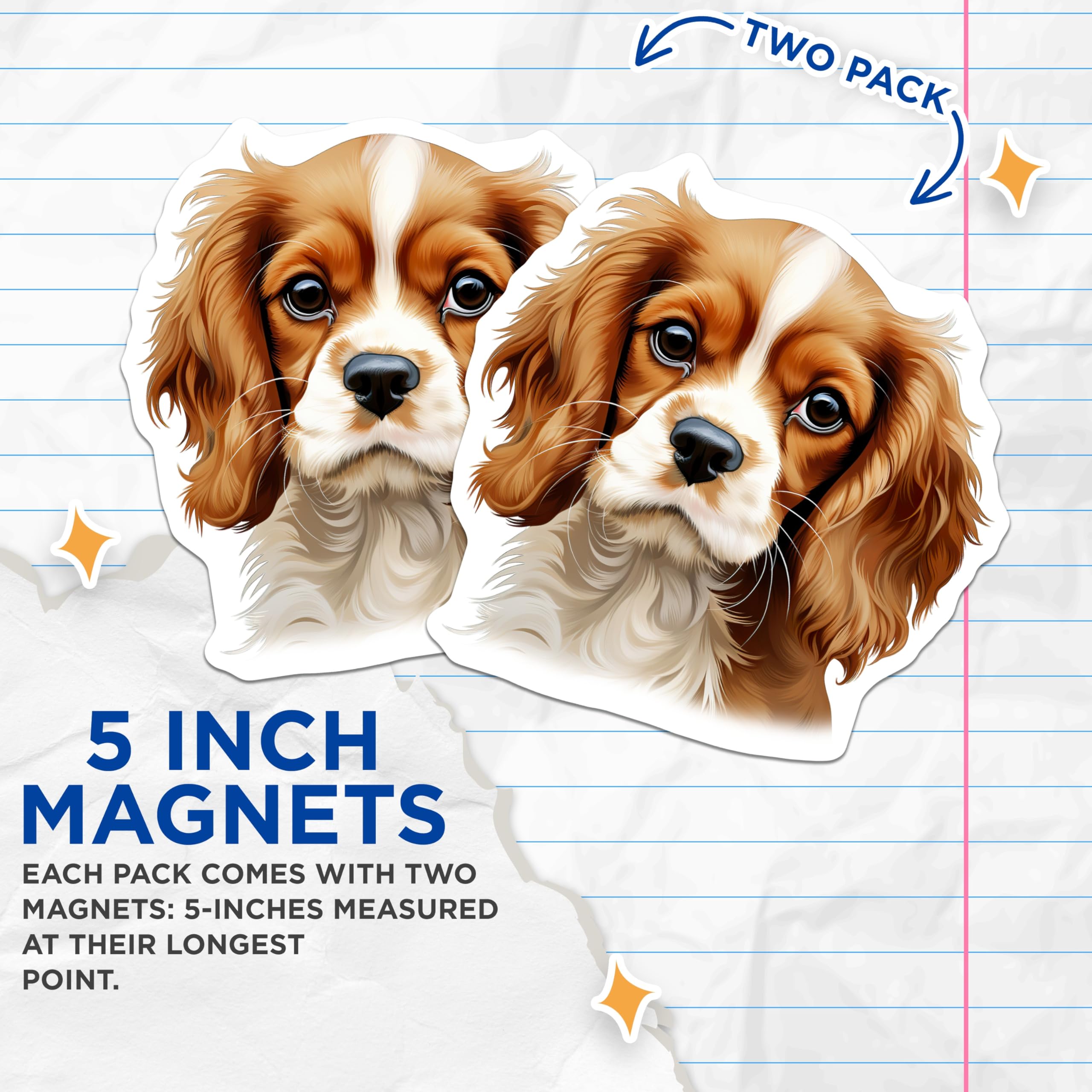 (2 Pack) Cavalier King Charles Spaniel Magnets - Cavalier Puppy Lover - Dog Mom Refrigerator Decor - 5 Inches On Longest Side - Thick Durable Magnet - Made in USA - MAG25496