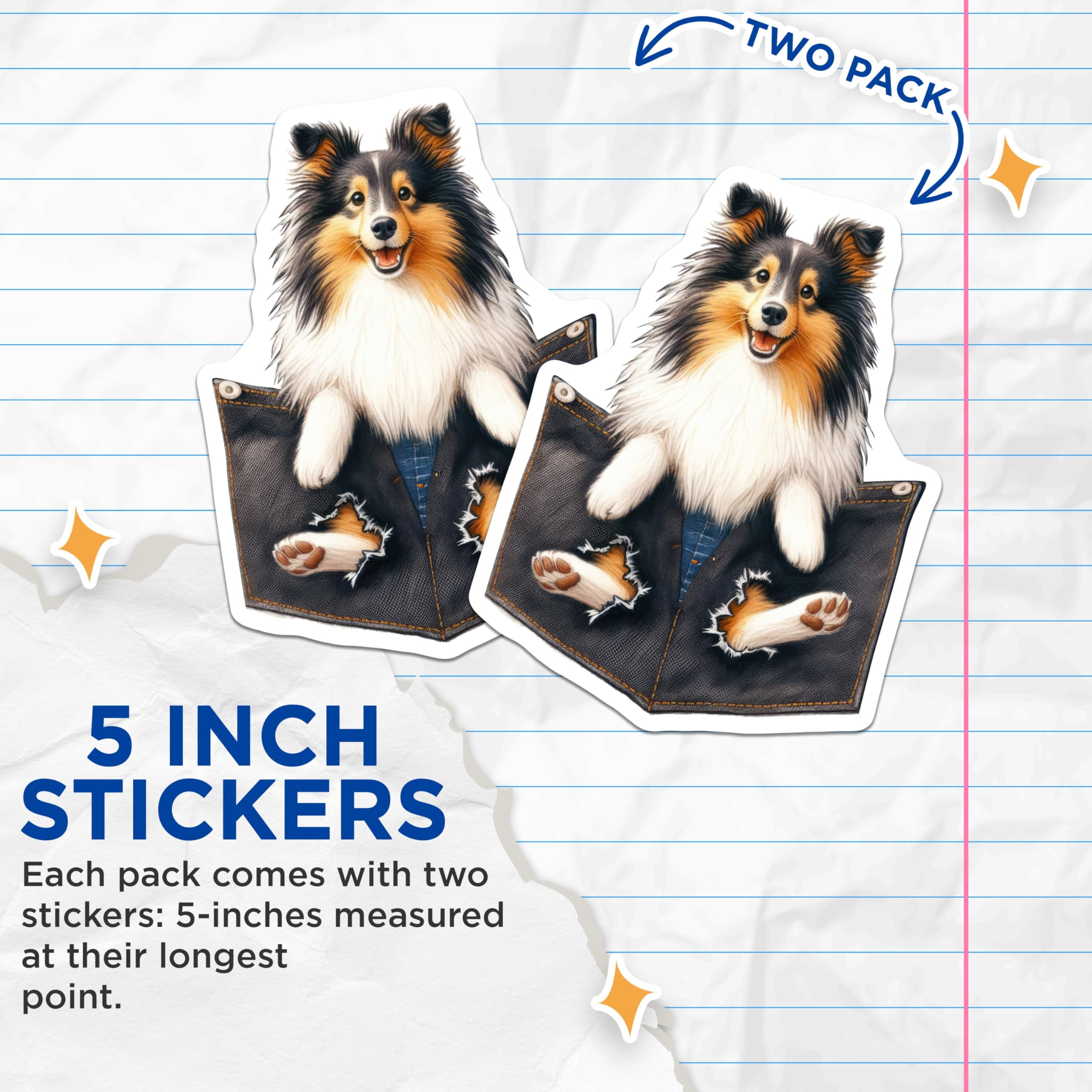 (2 Pack) Cute Sheltie Dog Stickers - Sheltie Art - Cute Dog Lover Decals - - 5" On Longest Side - Sticks to Smooth Flat Surfaces - Made in USA - BMCS4400