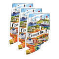 (3 Pack) Connecticut Decals - Travel CT Art - State Pride Laptop Decal- 3 Inches On Longest Side - Easy Peel & Apply - Made in USA - 3MCS5047