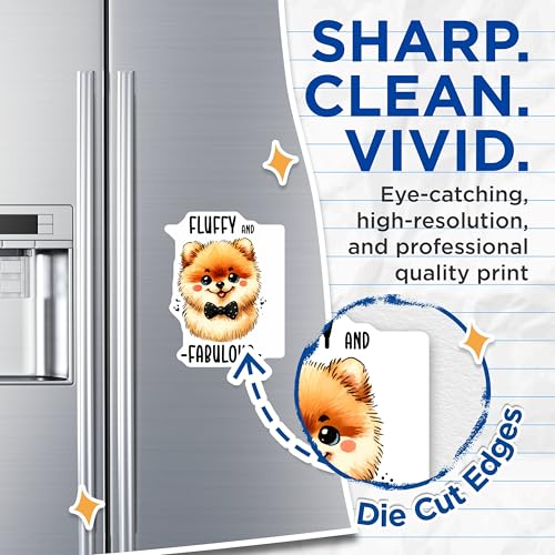 (2 Pack) Fluffy and Fabulous Pomeranian Magnets - Cute Dog Magnets - Bowtie Dog Magnets - Adorable Pet Magnets - 5" On Longest Side - for Cars, Fridges, Toolboxes - Made in USA - MAG3621