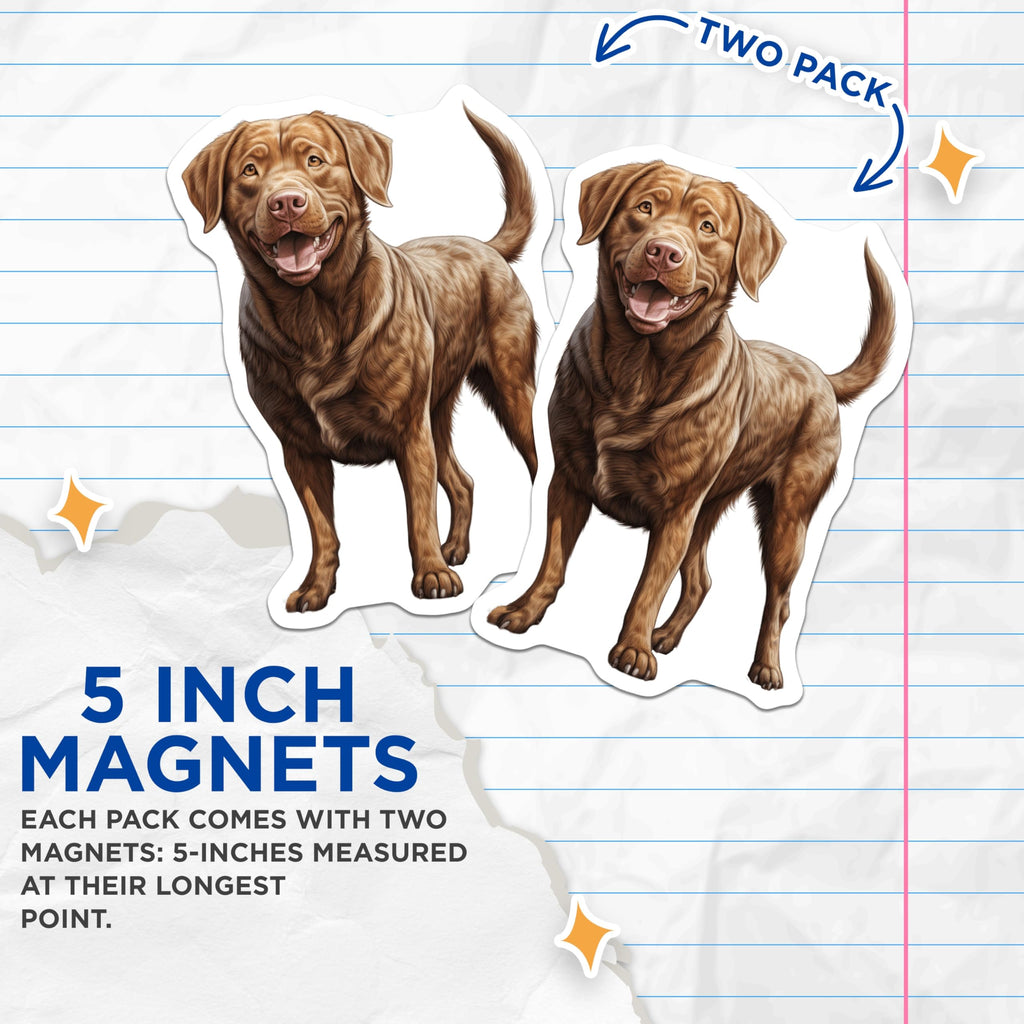 (2 Pack) Chocolate Labrador Retriever Magnets - Happy Brown Lab Dog Art - Canine Pet Lover Refrigerator Decor - Animal Magnet - 5 Inches On Longest Side - Thick Durable Magnet - Made in USA - MAG24130